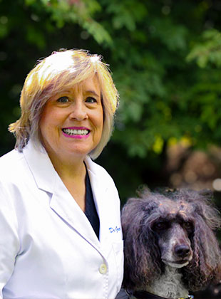 richmond veterinarians